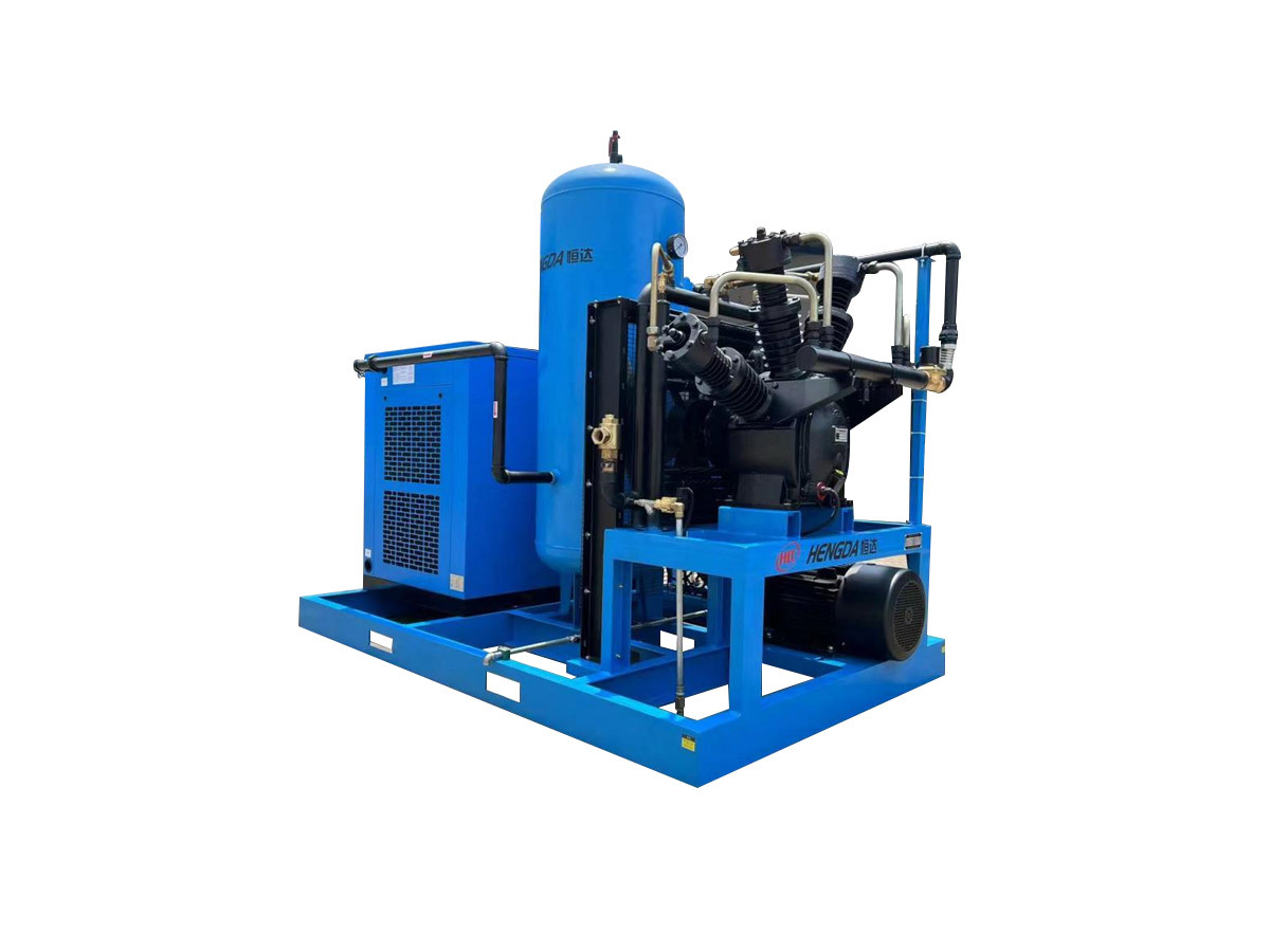 Screw and piston booster air c...